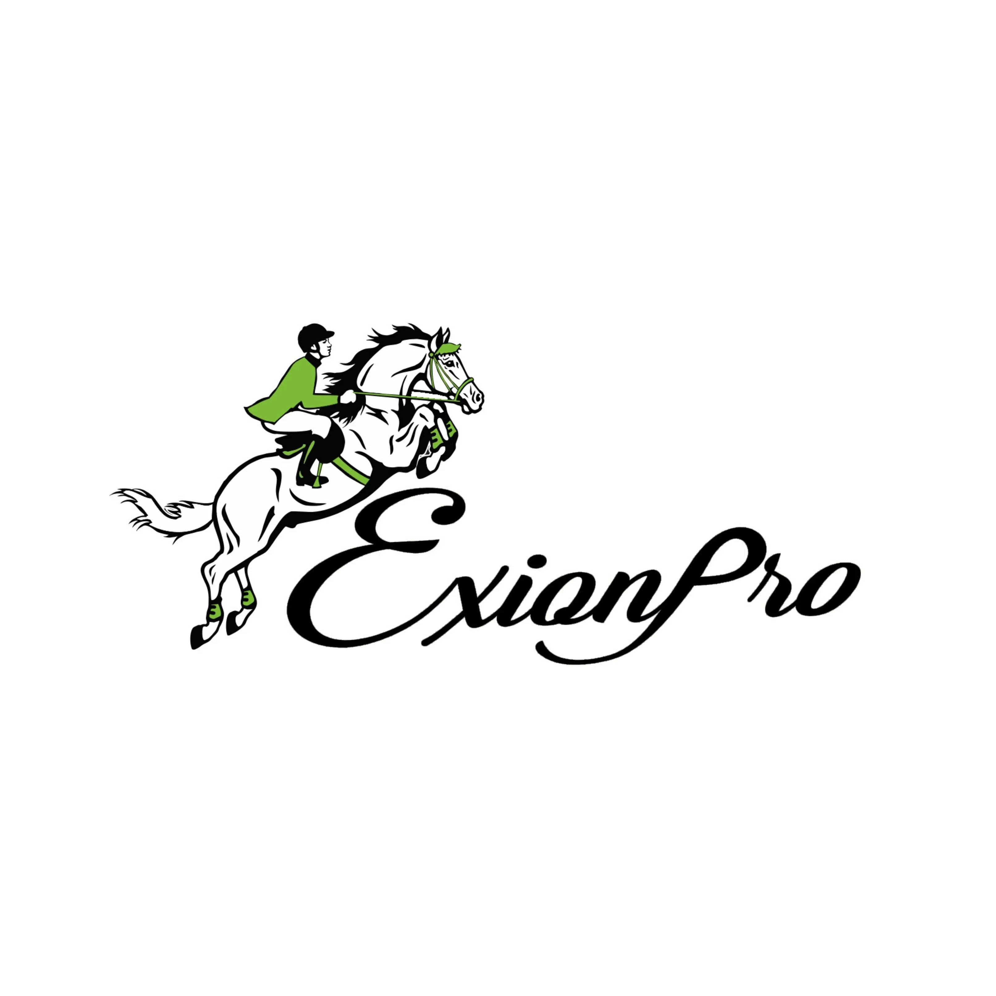 ExionPro Small Glittery & Fancy Blue Crystal Browband
