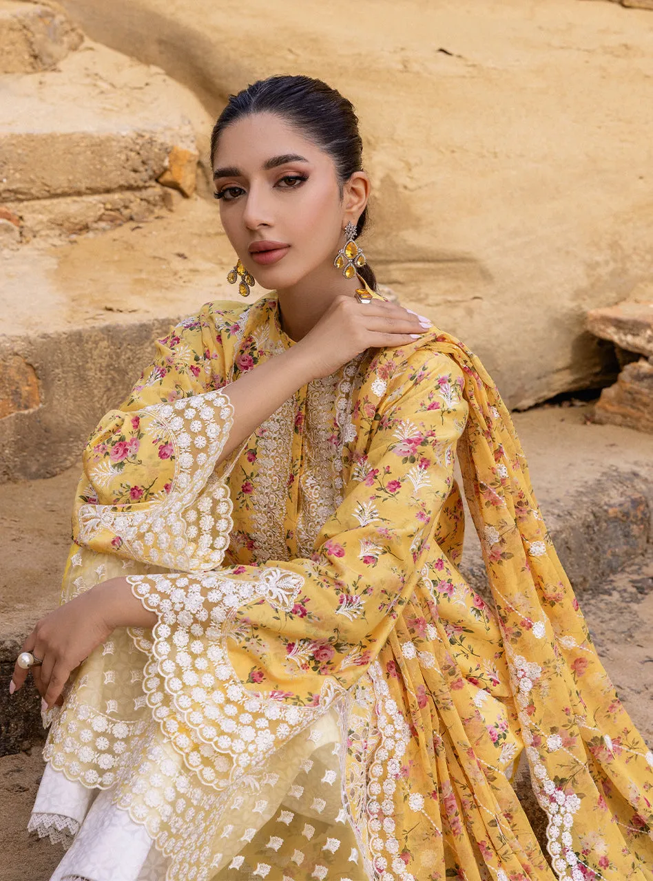 Zainab Chottani Chikankari Luxury Lawn Collection 2024 – Esme - 9B