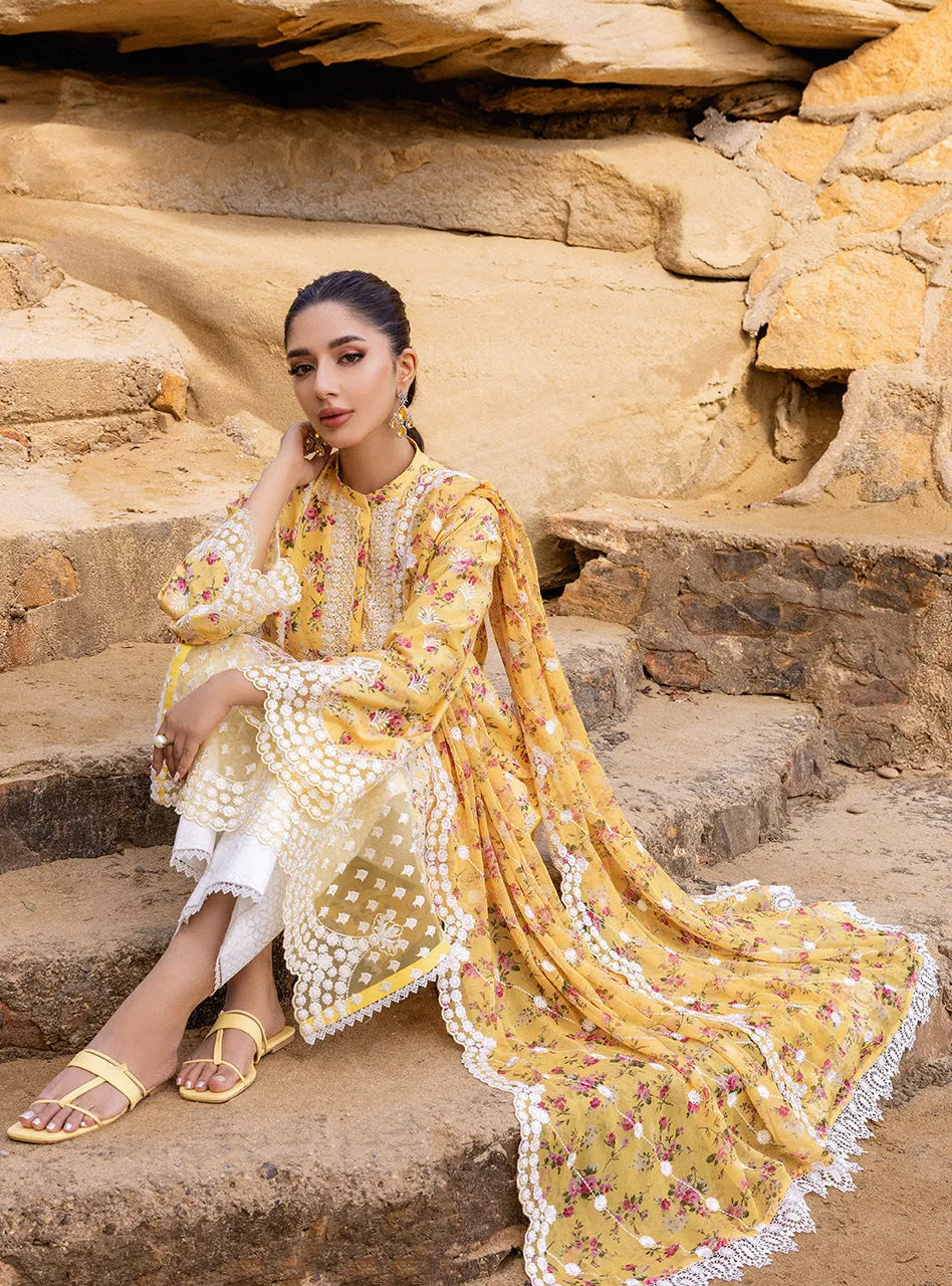Zainab Chottani Chikankari Luxury Lawn Collection 2024 – Esme - 9B